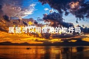 属鼠可以用像龙的物件吗-属鼠可以带龙牌吗？