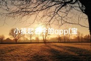 小孩起名字的app(宝宝起名神器：智能选宝，一触即得佳名)