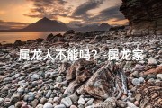 属龙人不能吗？-属龙家庭禁忌：真的不能吗？