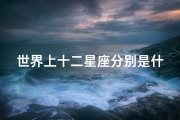 世界上十二星座分别是什么(一共有多少个星座 名称 )