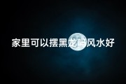 家里可以摆黑龙吗风水好吗(家里摆黑龙风水禁忌与宜忌)