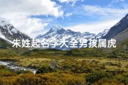 朱姓起名字大全男孩属虎宝宝