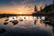 属龙和属猴配怎么样