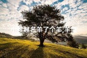 小孩起名羊了个羊;羊宝宝小名叫什么好听