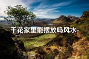 干花家里能摆放吗风水-干花摆放风水禁忌：家居摆放宜忌全解析