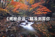 《揭秘命运：精准测算你的命格与未来》