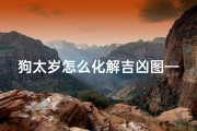 狗太岁怎么化解吉凶图—《狗太岁化解吉凶秘法全解》
