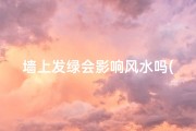 墙上发绿会影响风水吗(墙上发绿光)