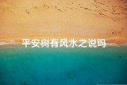 平安树有风水之说吗
