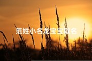 范姓小名龙宝宝取名