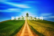 家里放影响风水吗