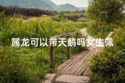 属龙可以带天鹅吗女生佩戴-属龙能不能带龙吊坠