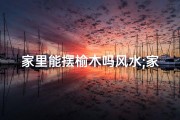 家里能摆榆木吗风水;家中放榆木盆景好不好