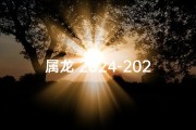 属龙 2024-2024龙年招财头像，财运亨通必备神器