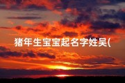 猪年生宝宝起名字姓吴(《猪宝宝降临吴姓萌宝起名大集合》)