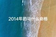 2014年的马什么命格-2014年生肖马什么命