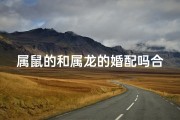 属鼠的和属龙的婚配吗合适吗(属鼠与属龙婚配：合适吗？幸福密码大揭秘)