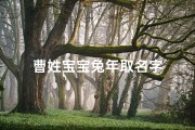 曹姓宝宝兔年取名字