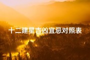 十二建星吉凶宜忌对照表—《十二建星吉凶详析图解：揭秘运势奥秘》