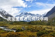 虎宝宝取名可用炆字吗