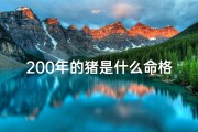 200年的猪是什么命格;2002年属猪的多少岁