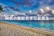 网名小孩起名字可爱男生,《网名小孩的可爱男生：名字背后的温馨故事》