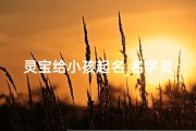 灵宝给小孩起名_名字灵宝的寓意