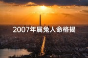 2007年属兔人命格揭秘：运势详解
