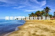 属龙人适合做棺材生意吗