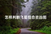 怎样判断飞星组合吉凶图_飞星组合吉凶图解析：精准判断吉凶秘诀