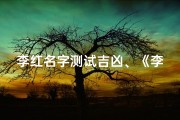 李红名字测试吉凶、《李红名字吉凶大揭秘》
