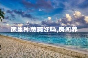 家里种葱蒜好吗;房间养葱蒜风水宜否探讨