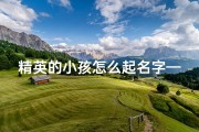 精英的小孩怎么起名字—《精英后代：如何为杰出小孩起名》
