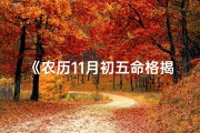 《农历11月初五命格揭秘：运势与命运新篇章》