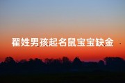 翟姓男孩起名鼠宝宝缺金名字-《翟姓鼠宝宝缺金：精选金属性名字推荐》