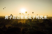 房子后边能栽花子吗风水_房子后面不能种花吗