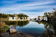 属龙人23年犯太岁吗