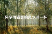 怀孕母猫影响风水吗—怀孕母猫影响风水？揭秘猫咪风水之谜