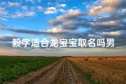 毅字适合龙宝宝取名吗男孩、毅字的男孩名字的寓意
