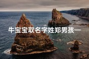 牛宝宝取名字姓郑男孩—郑家喜迎牛宝宝：福气满满郑氏萌娃诞生