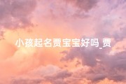 小孩起名贾宝宝好吗_贾起什么名字好