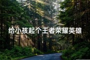 给小孩起个王者荣耀英雄小名;《王者荣耀助力，宝宝名字新鲜出炉》