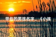 带彪的男孩名字、《小孩名字带彪好不好？揭秘独特命名风尚》
