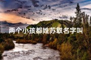 两个小孩都姓苏取名字叫什么-两个孩子两个姓的好处