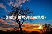 测试手机号码吉凶免费-手机号码吉凶一测便知，运势揭秘