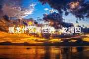 属龙什么属性的—龙腾四海五行聚，金木水火土辉煌