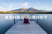 属龙和属马可以做拜把子兄弟吗-属龙和属马可以做拜把子兄弟吗为什么