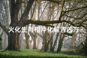 火化生肖相冲化解吉凶方法;《生肖相冲火化化解吉凶妙法揭秘》