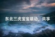 东北三虎宝宝萌动，共享温馨取名时刻