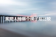 属龙人抽哪个牌子烟比较好